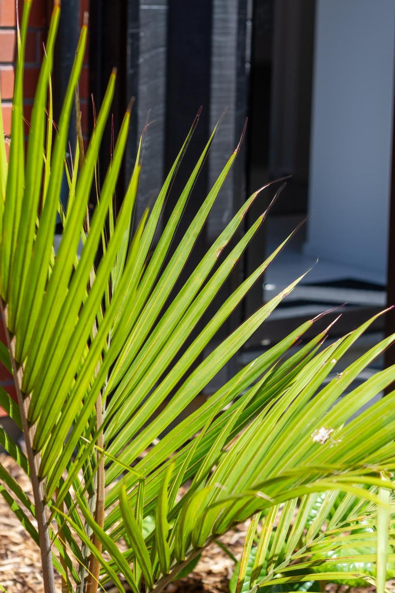 Apartament Conveniently Located 2Br Townhouse In West Akl Auckland Zewnętrze zdjęcie
